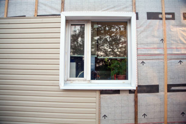 Best Construction Debris Removal  in Foley, MN