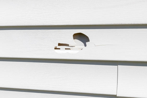 Best Appliance Removal  in Foley, MN